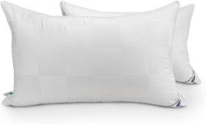 Luxury Hotel Collection Down Altern...